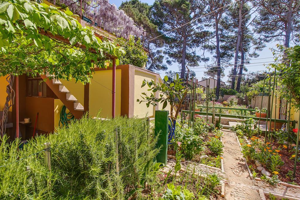 Apartments Petra Mali Lošinj Exteriör bild